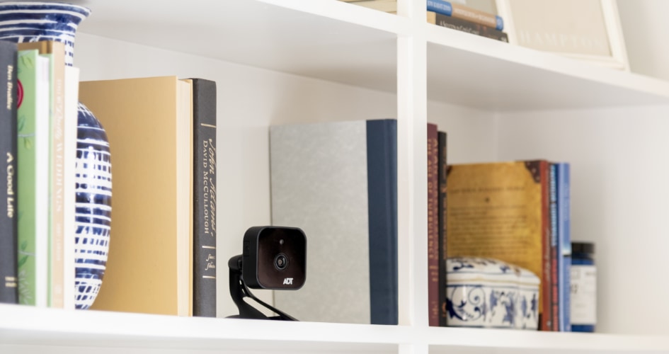 adt Indoor security cameras in Dallas